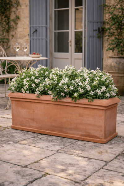 Riesiger schlichter Terracotta Kasten - Cassetta Roma